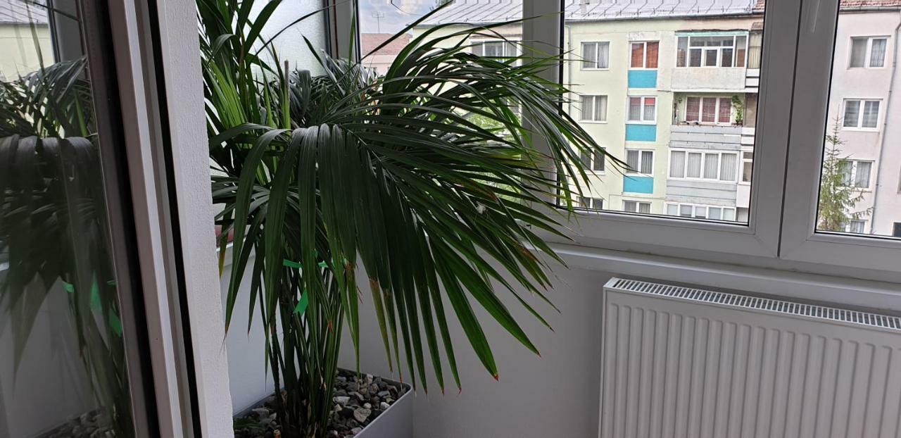 The View Apartment Sibiu Exterior foto